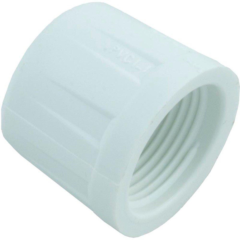 Plumbing Supplies Caps FPT Caps