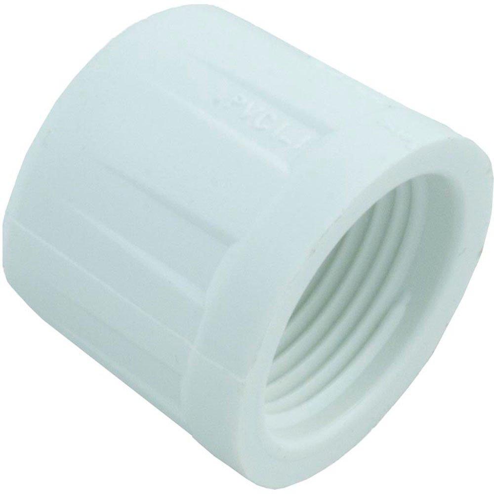 Plumbing Supplies Caps FPT Parts