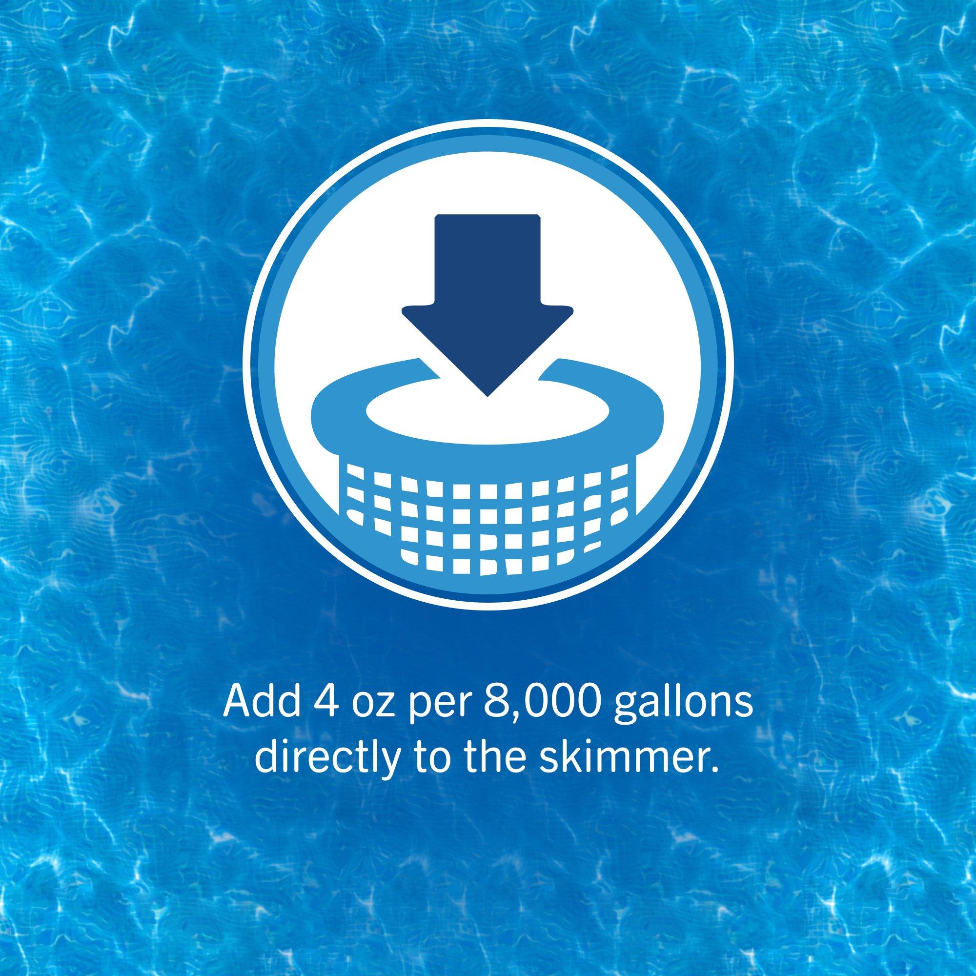 Leslie's  NoPHOS Phosphate Remover