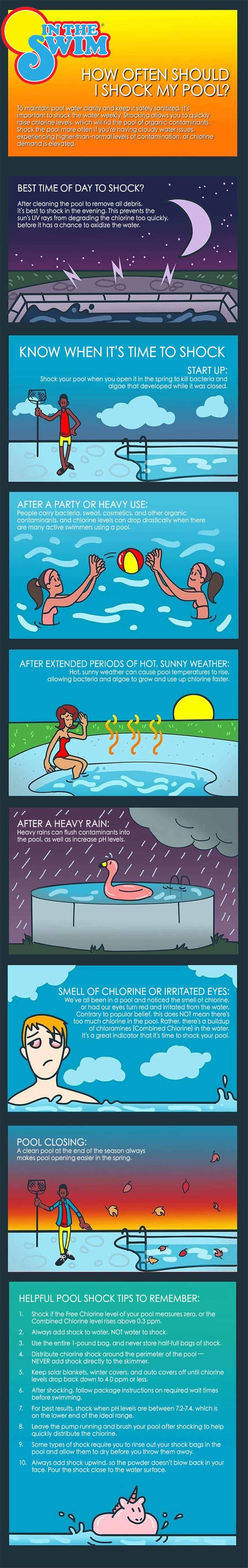 In The Swim infographic on the topic of how often should I shock my pool? Copy listed below.