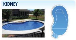 kidney - inground pool shape