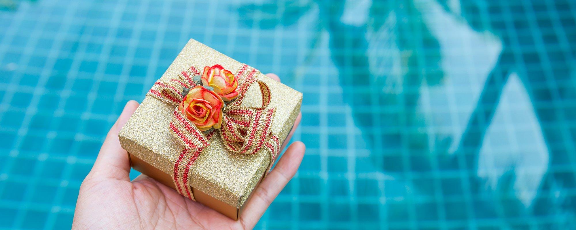 Gift Ideas for Pool Owners