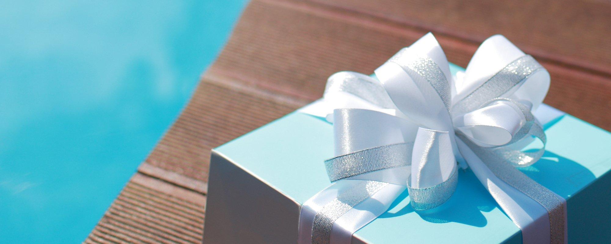 Read our blog article Great Gifts for Hot Tubbers!