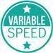 Variable Speed Pool Pump