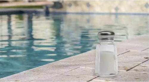 An image representative of the blog article titled Saltwater Pool Maintenance