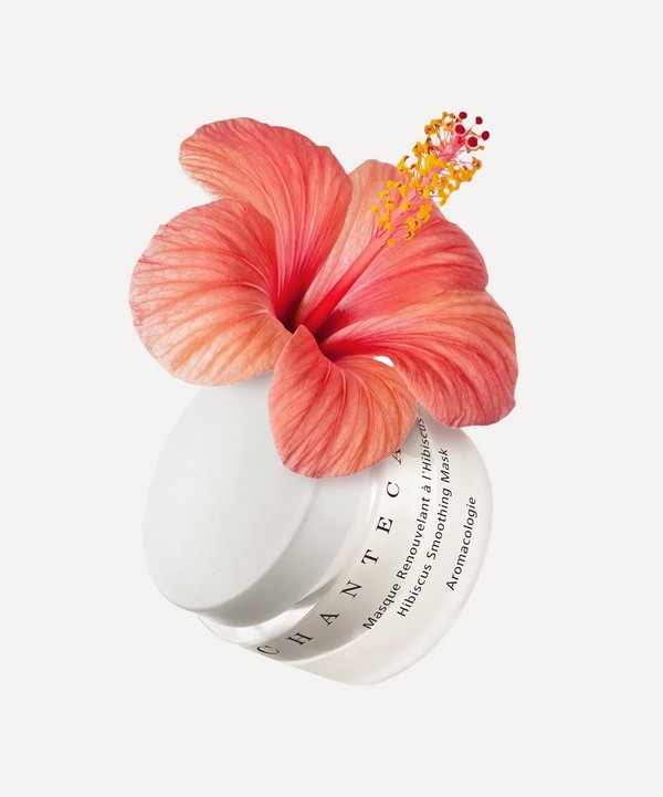 Chantecaille - Hibiscus Smoothing Mask 50g image number 1
