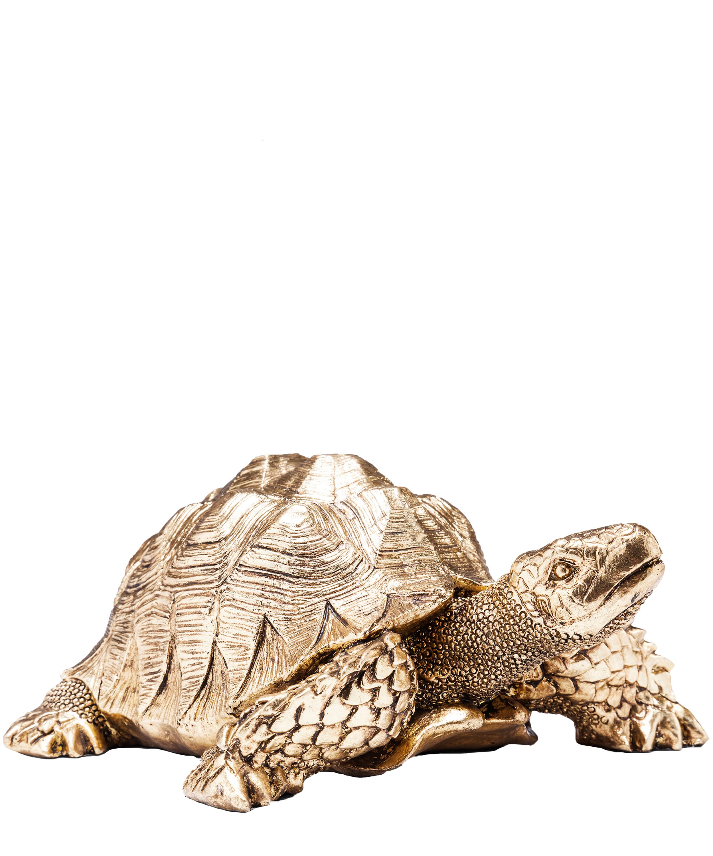 Rockett St George - Tortoise Ornament image number 0
