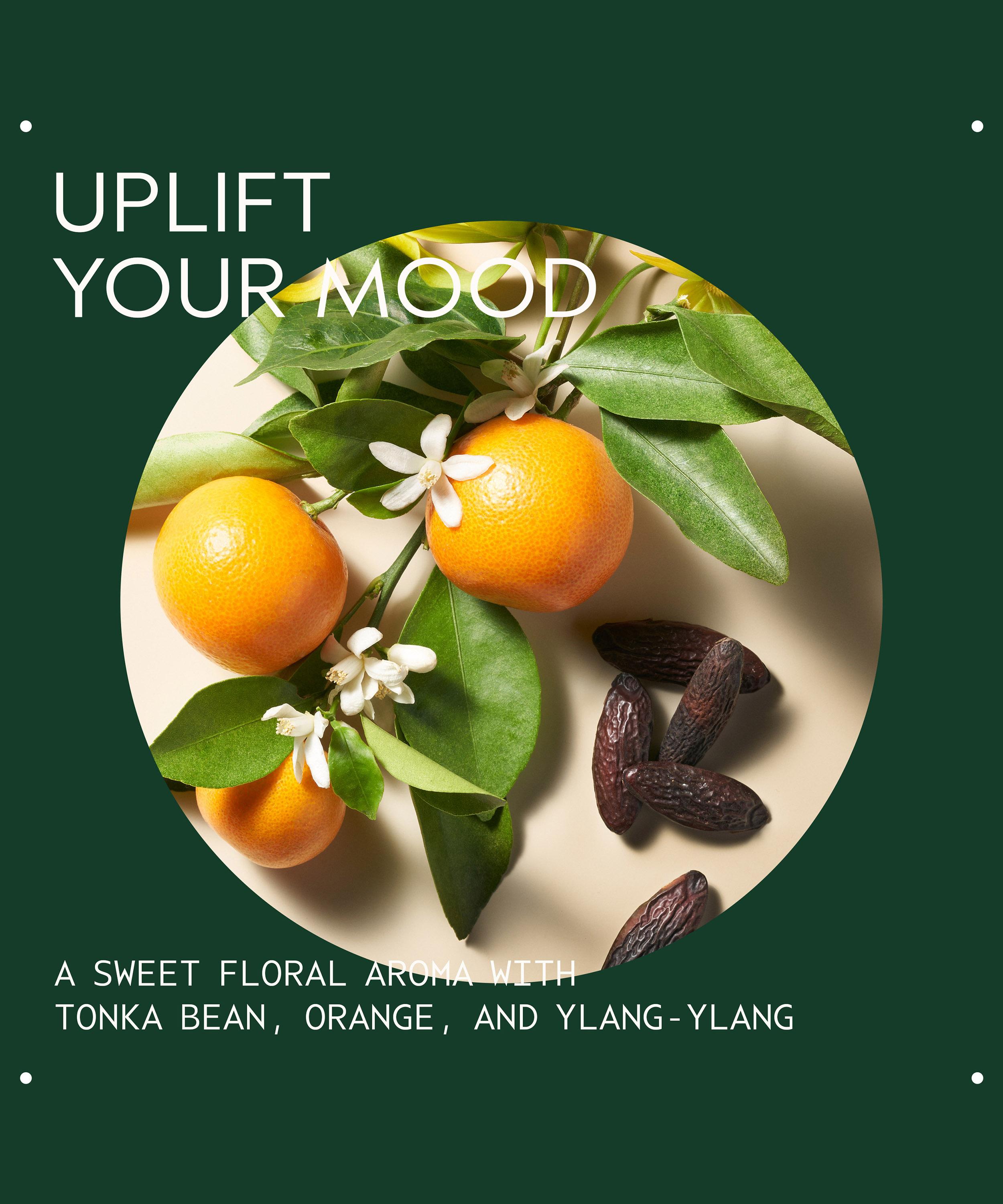 Aveda - Cherry Almond Softening Shampoo 1000ml image number 4