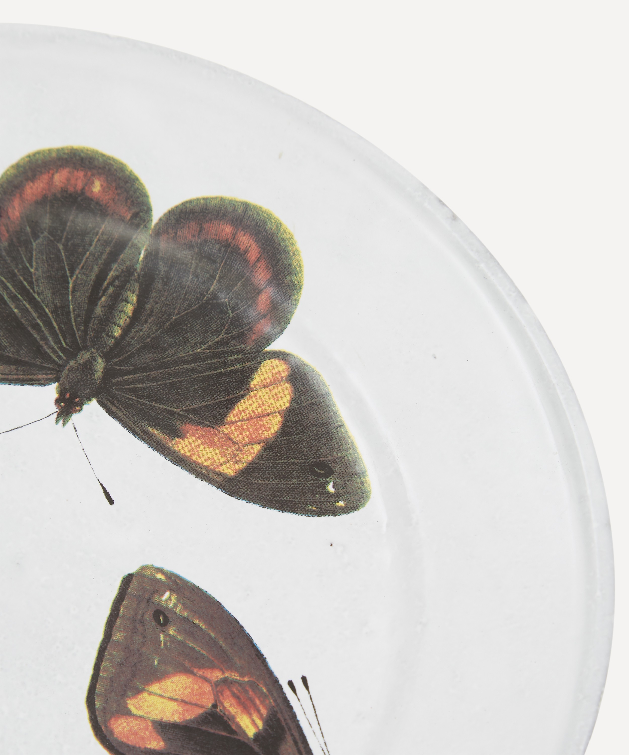 Astier de Villatte - Three Butterflies Plate image number 3