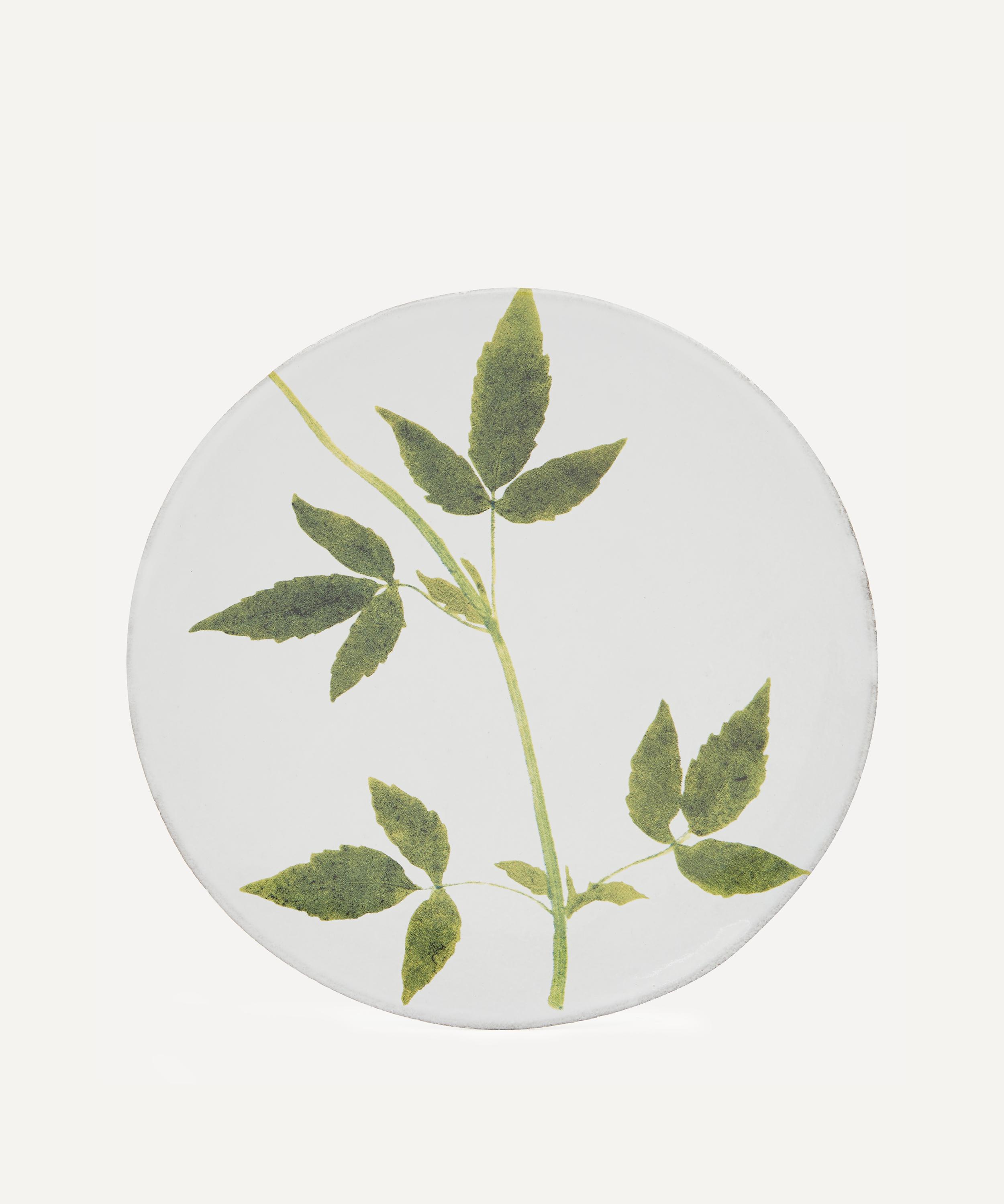 Astier de Villatte - Drachocephalum Plate image number 0