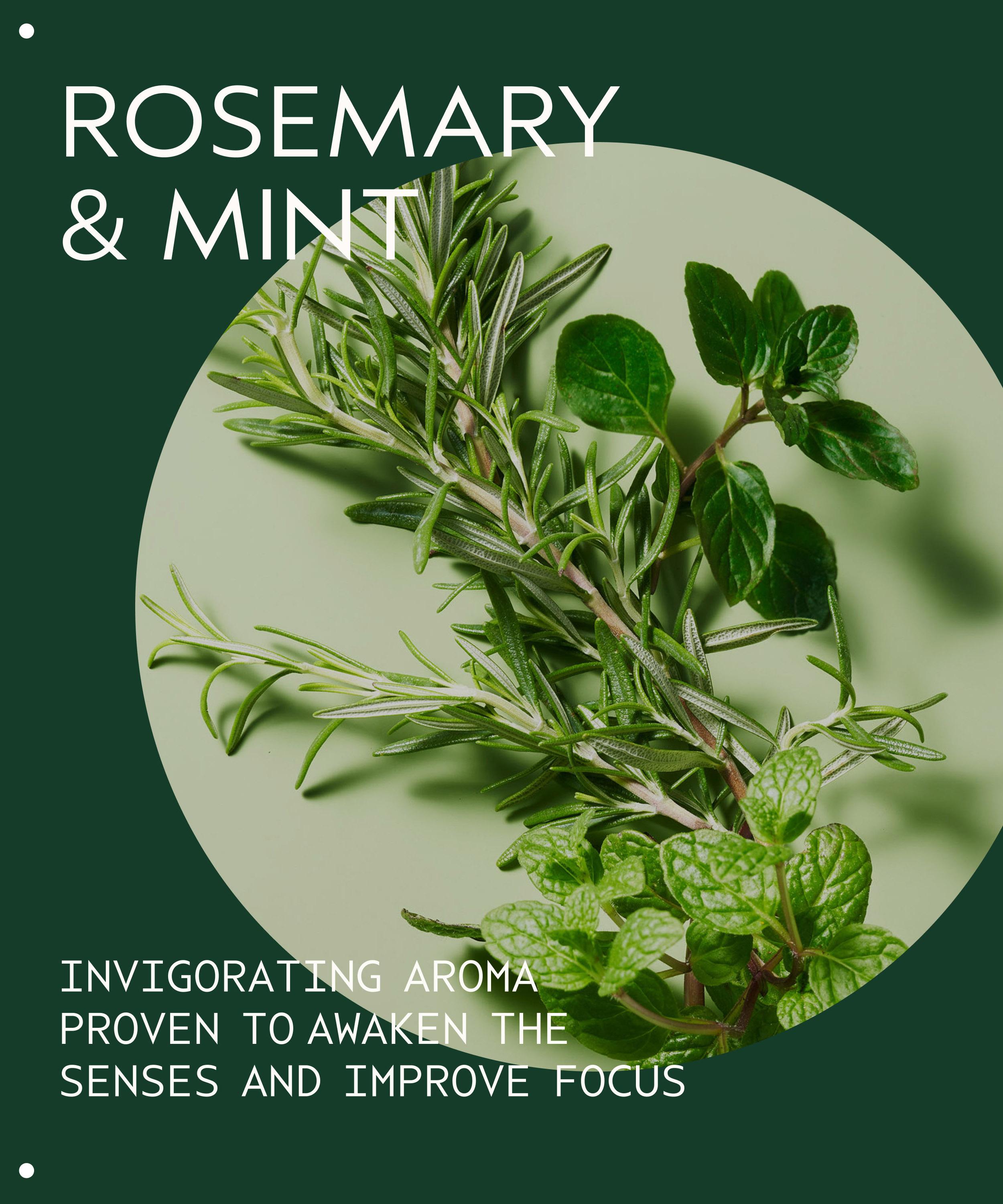 Aveda - Rosemary Mint Bath Bar 200g image number 4