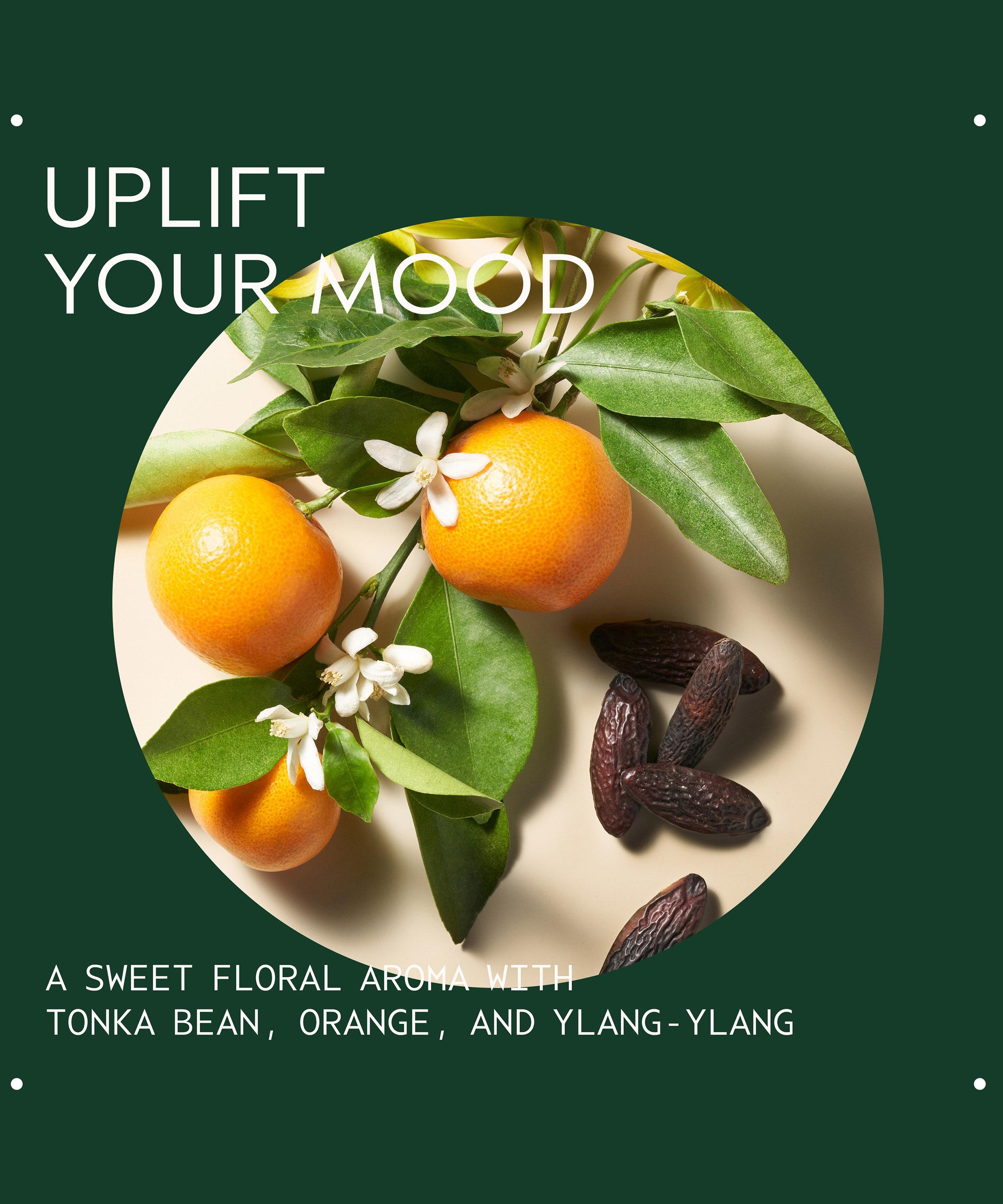 Aveda - Cherry Almond Softening Leave-In Conditioner 200ml image number 4