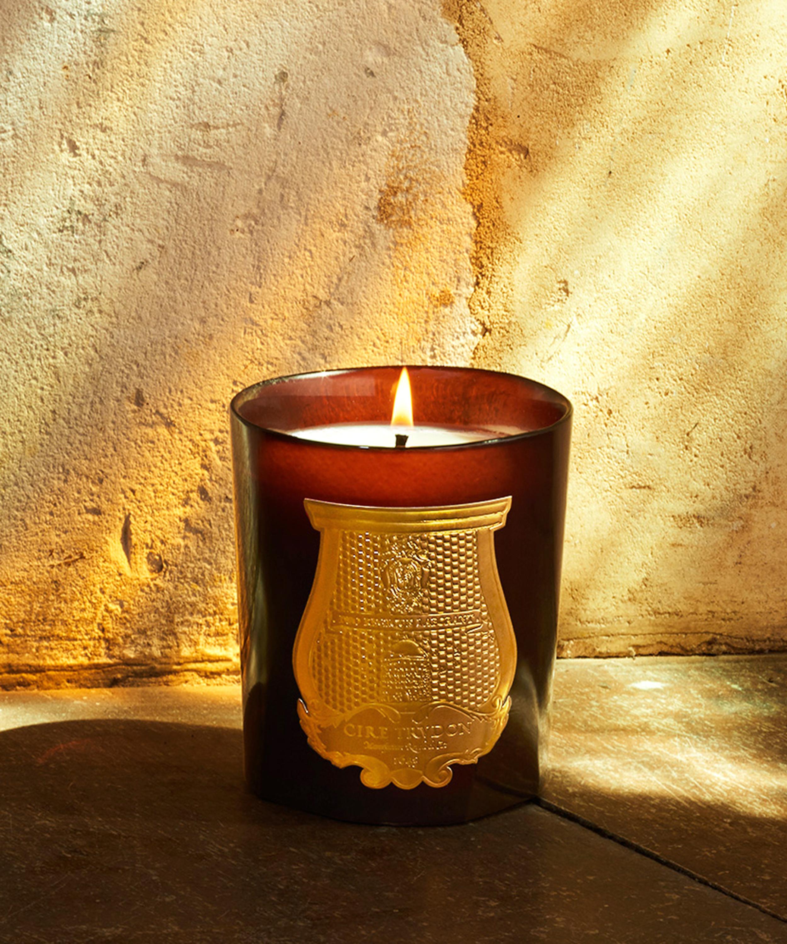 Trudon - Cire Scented Candle 270g image number 2