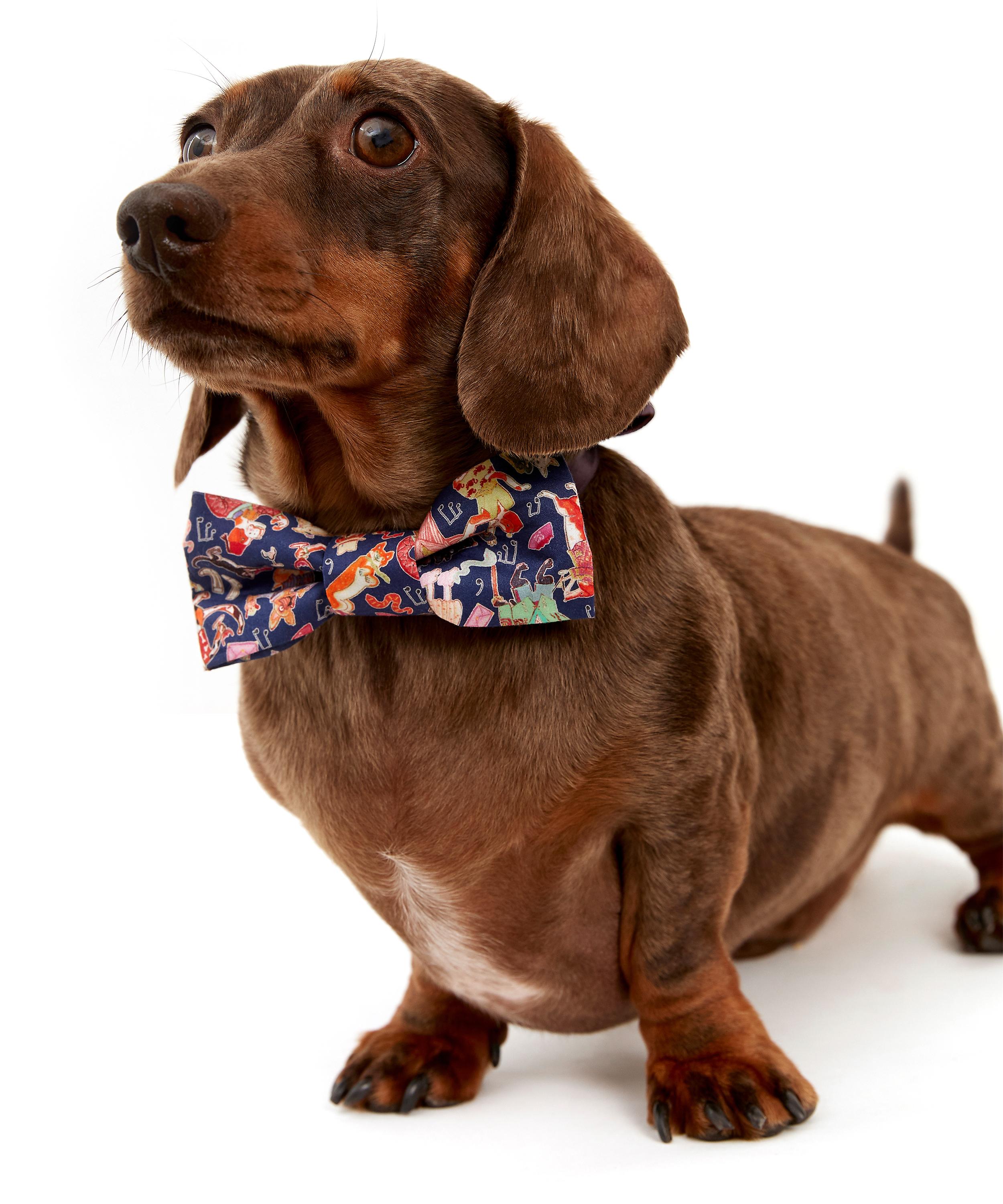 Dapper Dogs Liberty Print Dog Bow Tie Liberty