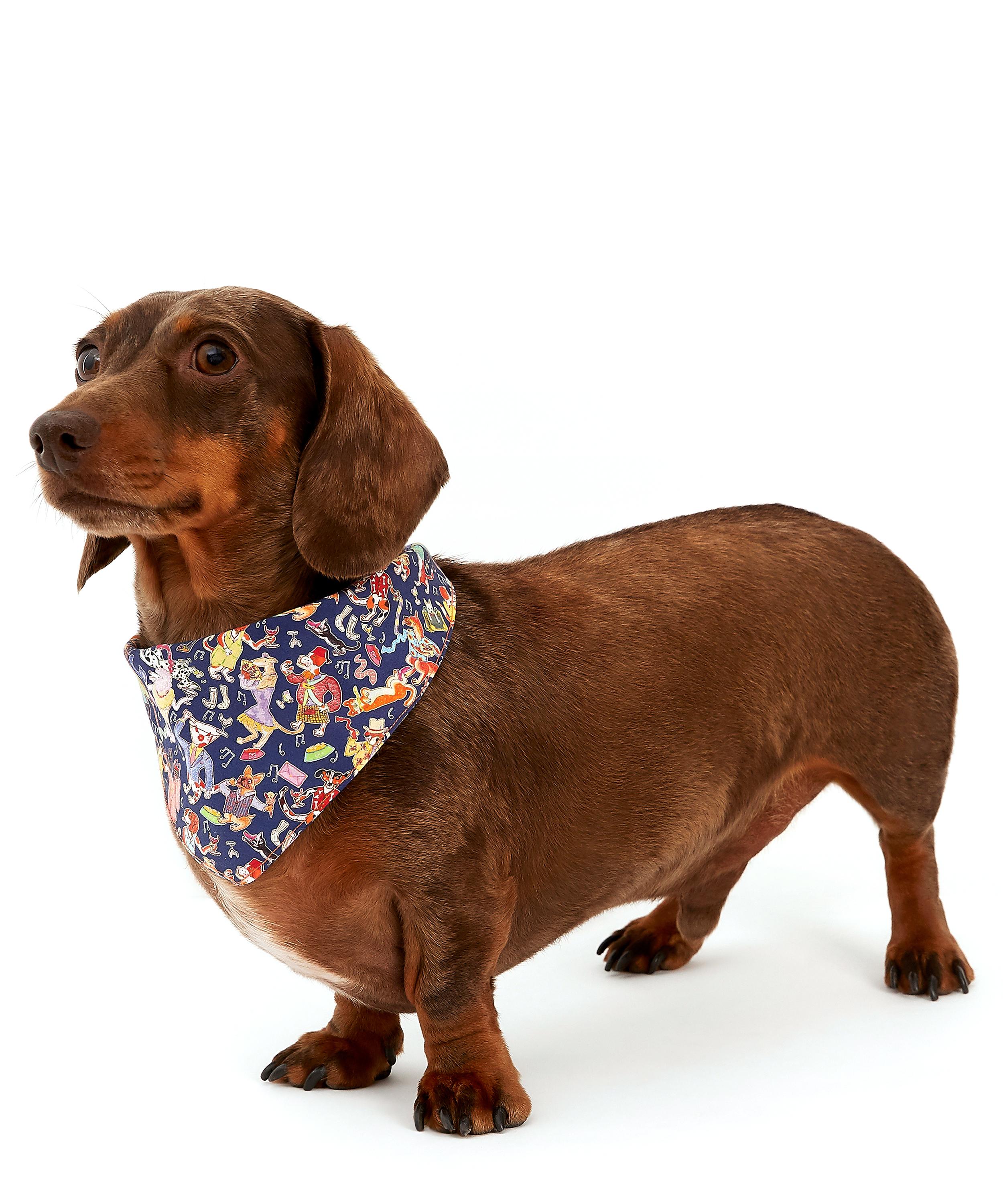 Small Dapper Dogs Liberty Print Dog Neckerchief Liberty