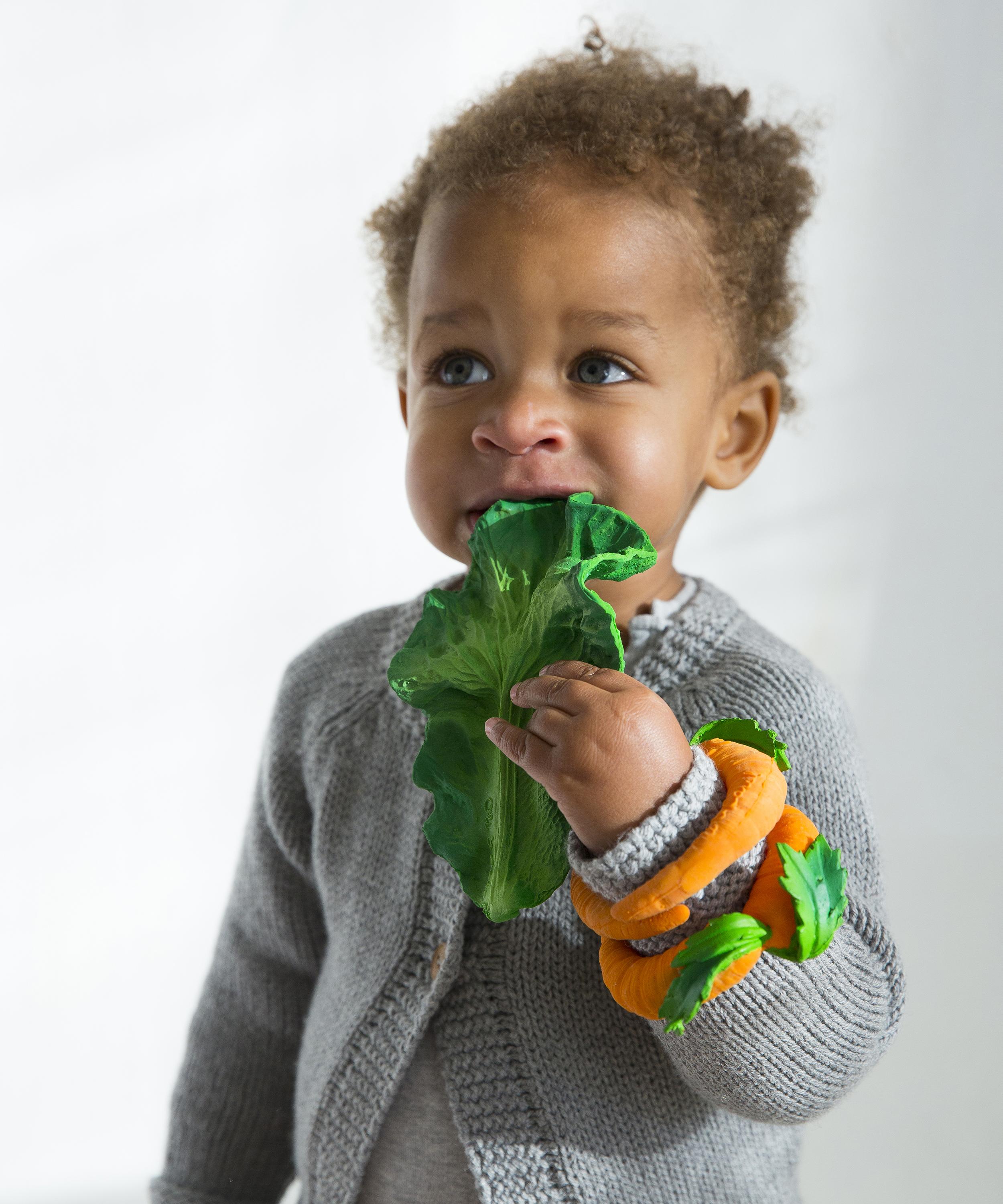 kendall the kale teether