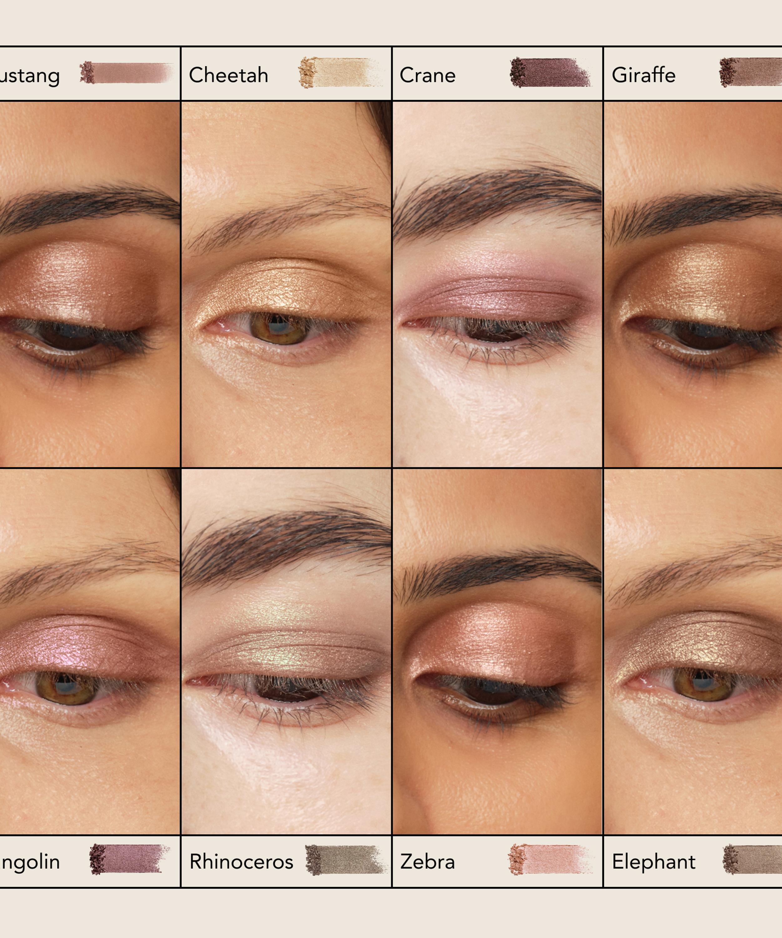 Chantecaille - Cheetah Luminescent Eye Shade image number 5