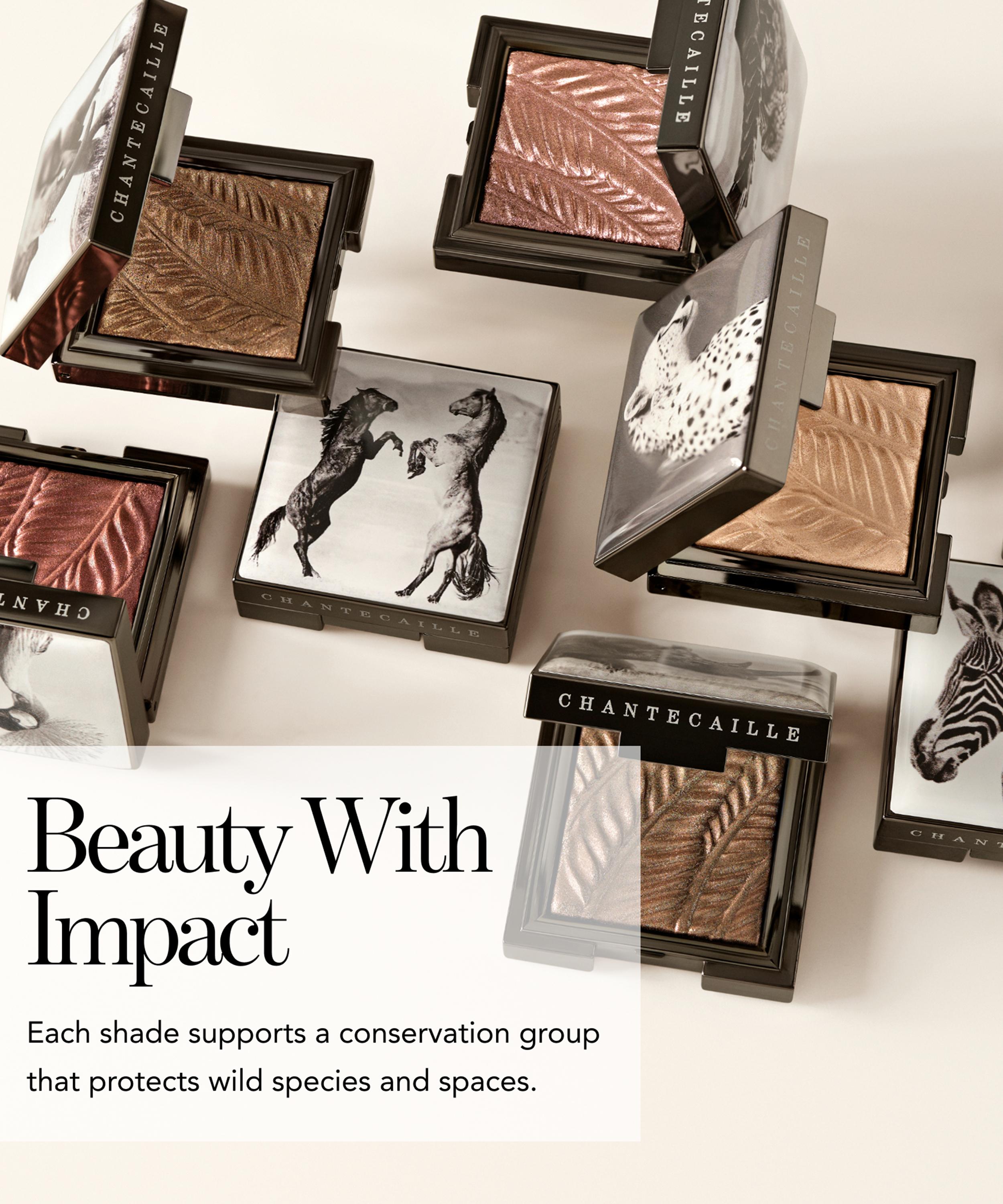 Chantecaille - Cheetah Luminescent Eye Shade image number 7