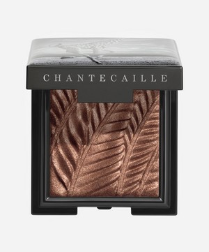 Chantecaille - Elephant Luminescent Eye Shade image number 0
