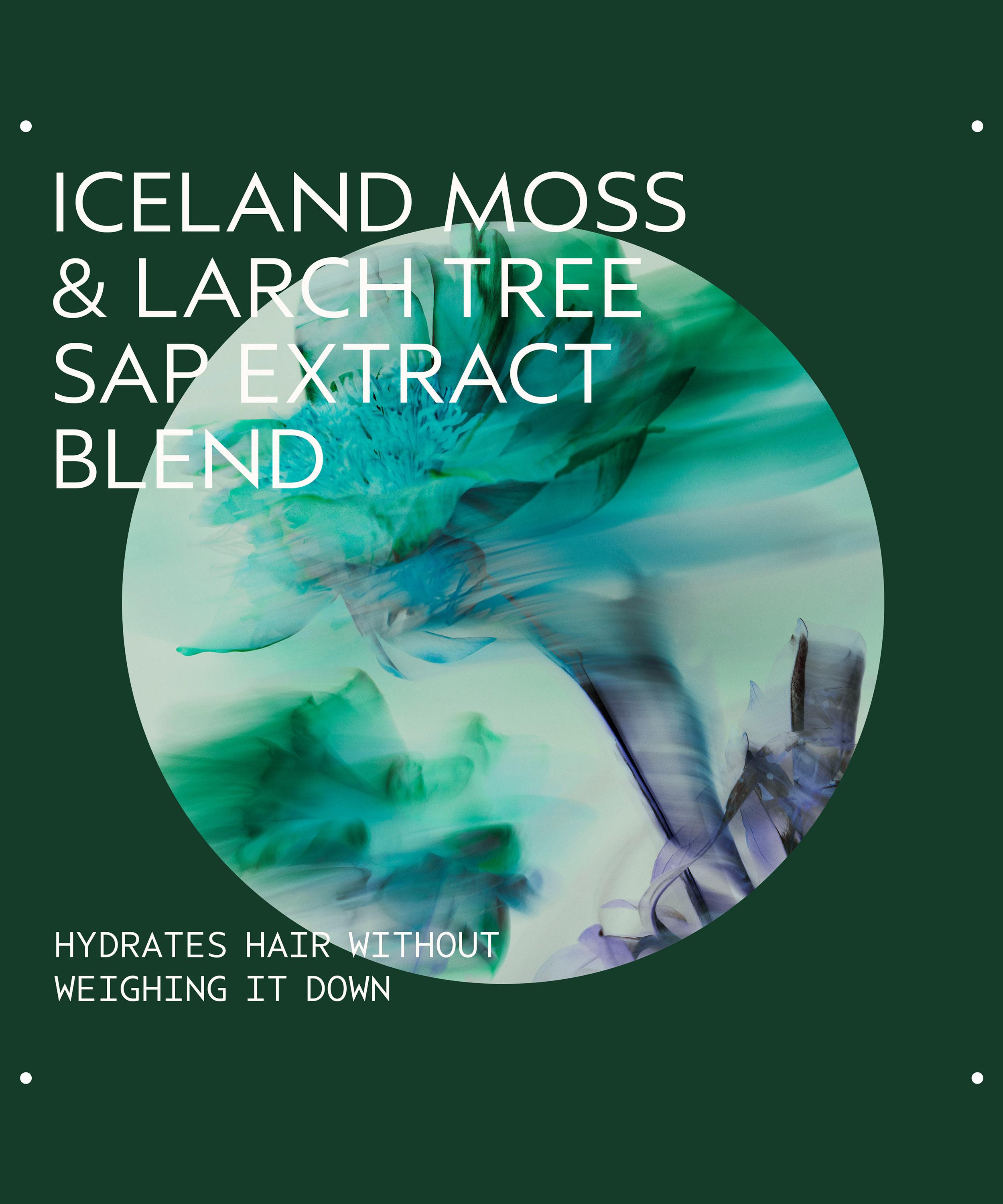 Aveda - Sap Moss Weightless Hydration Shampoo 200ml image number 4