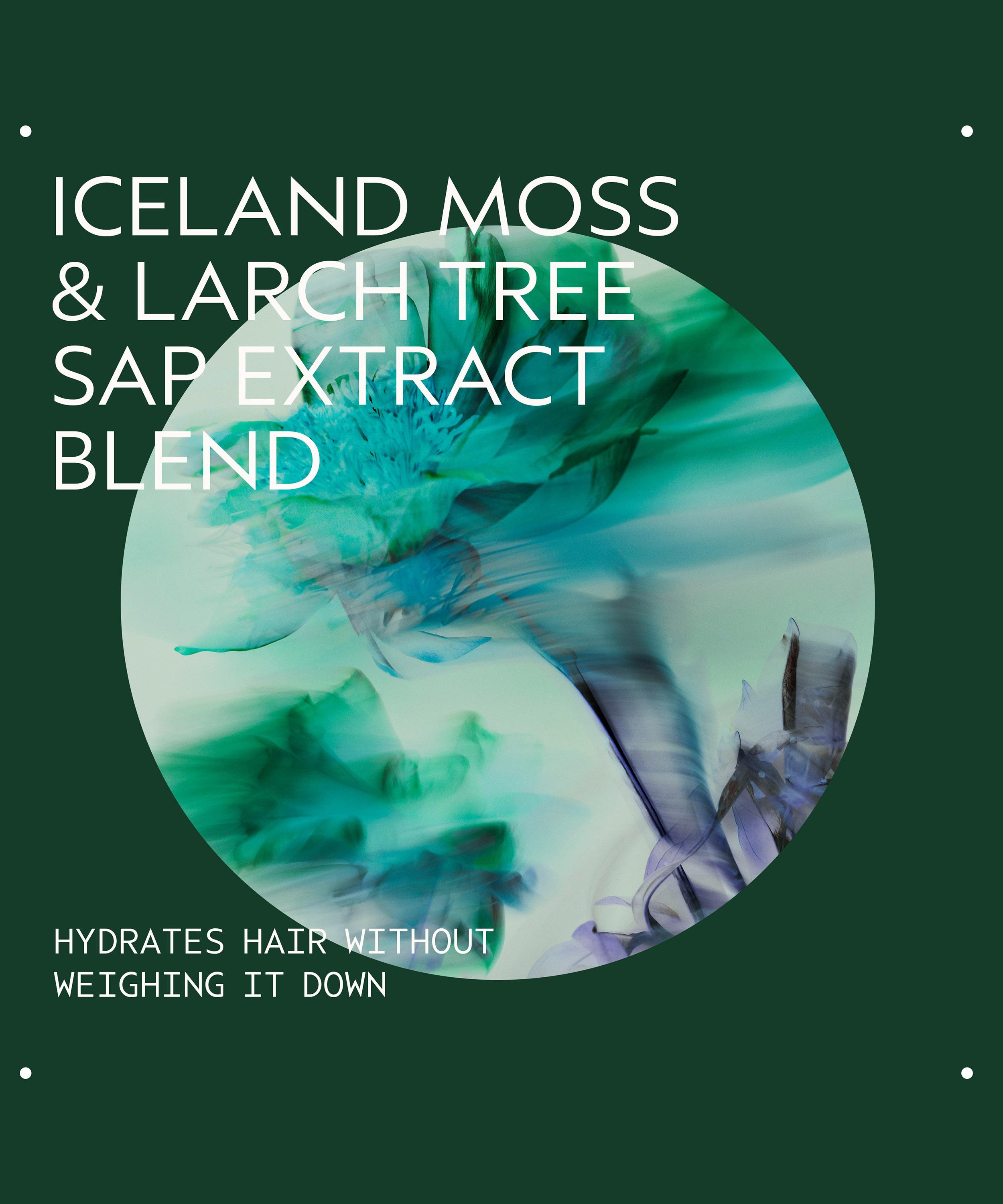 Aveda - Sap Moss Weightless Hydration Conditioner 200ml image number 4