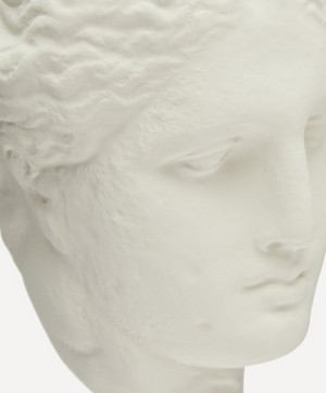 Sophia - Medium Head of Hygeia image number 3