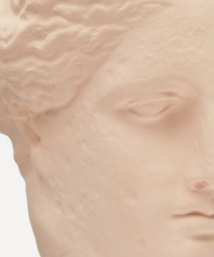 Sophia - Large Head of Hygeia image number 3