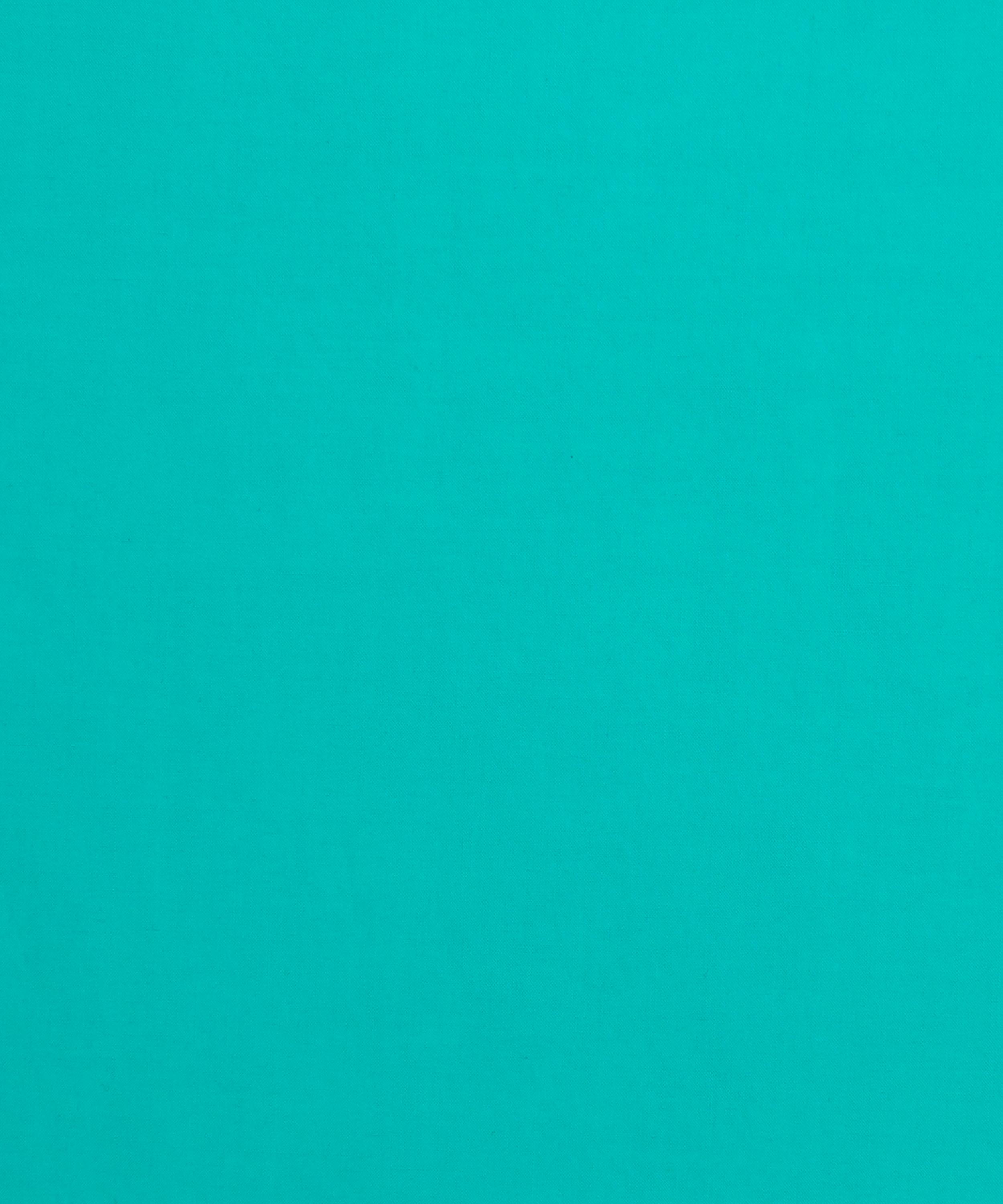 Liberty Fabrics - Peppermint Plain Tana Lawn™ Cotton image number 0