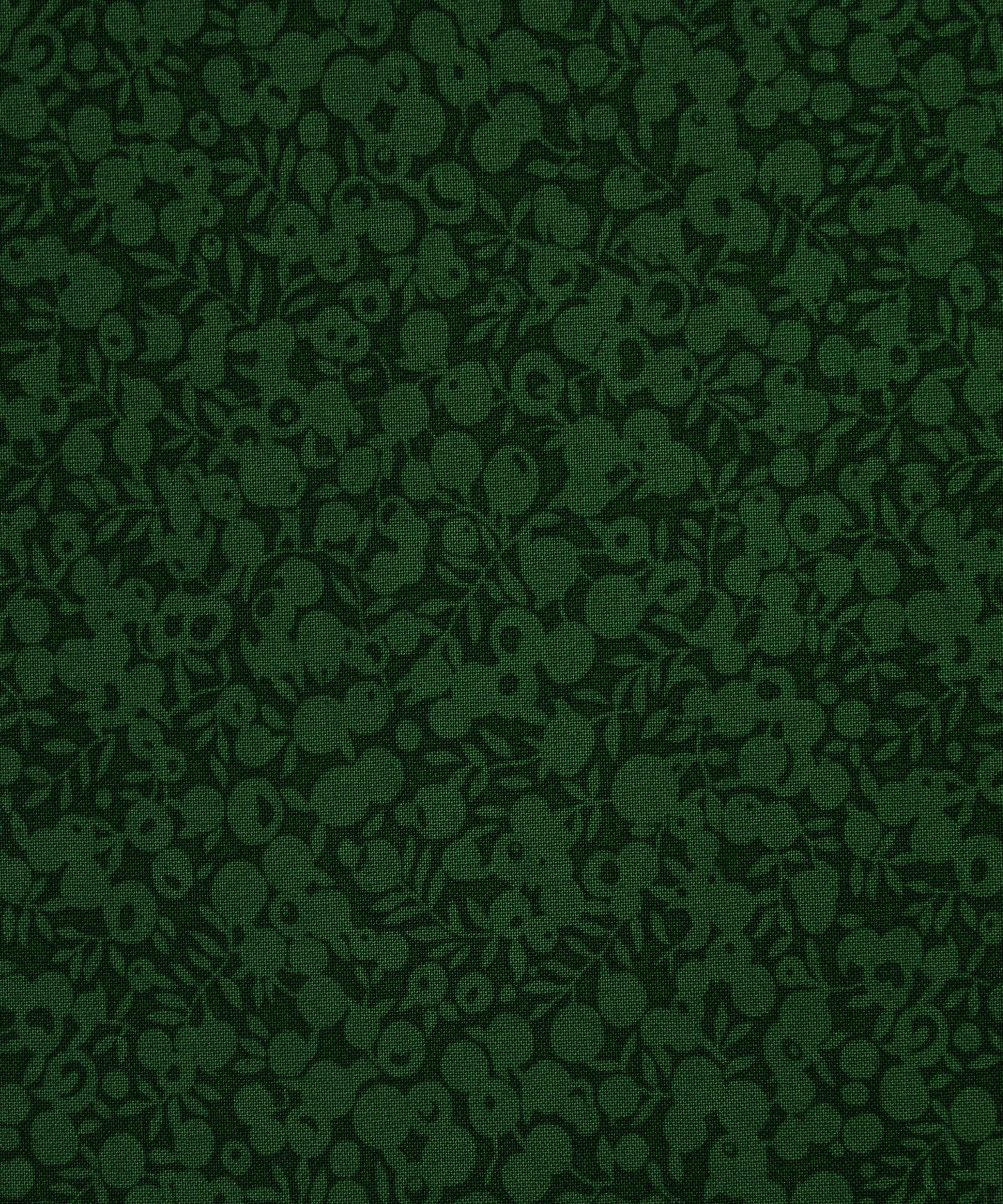 Liberty Fabrics - Forest Wiltshire Shadow Lasenby Cotton image number 0