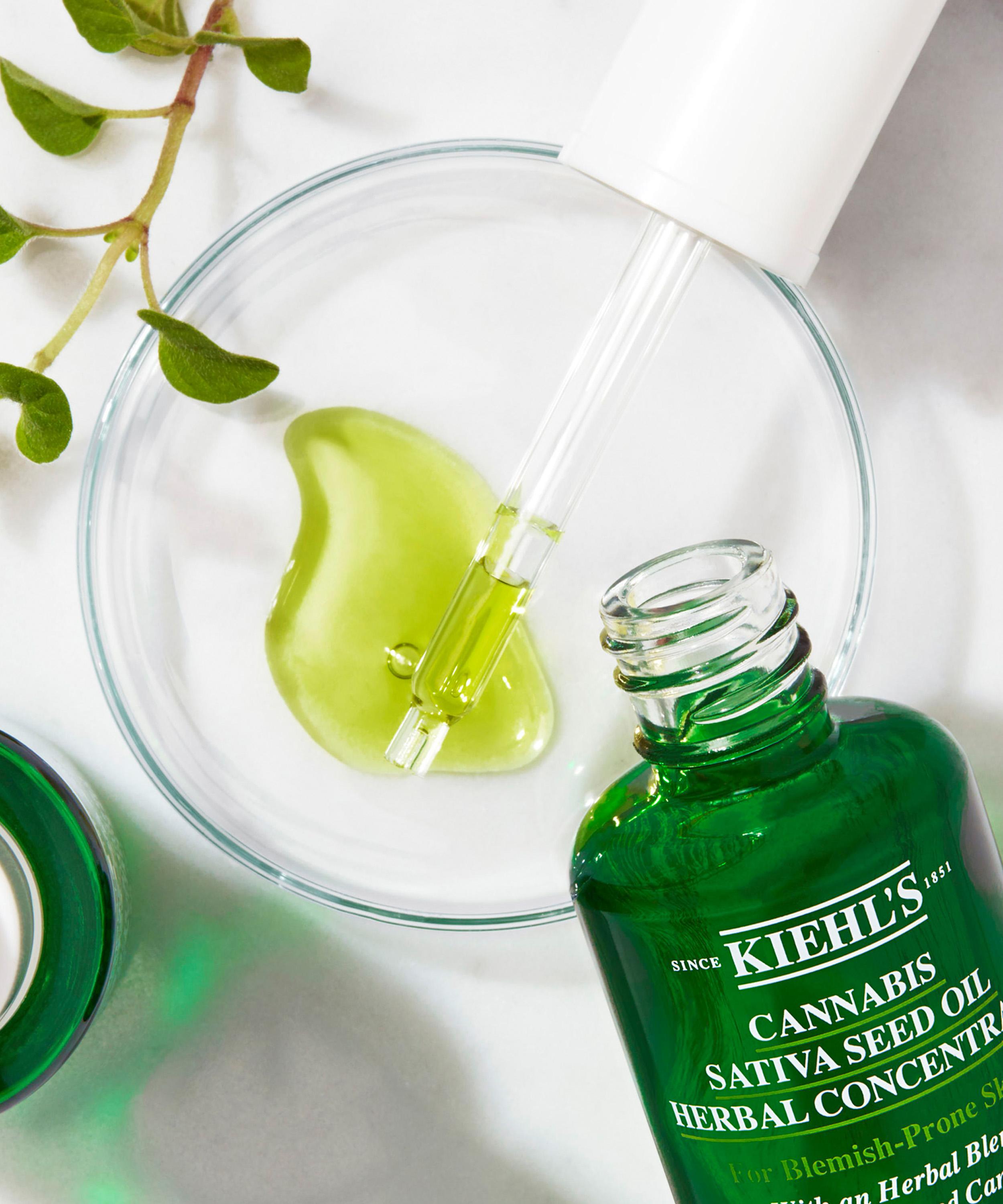 Kiehl's - Cannabis Sativa Seed Oil Herbal Concentrate 30ml image number 1