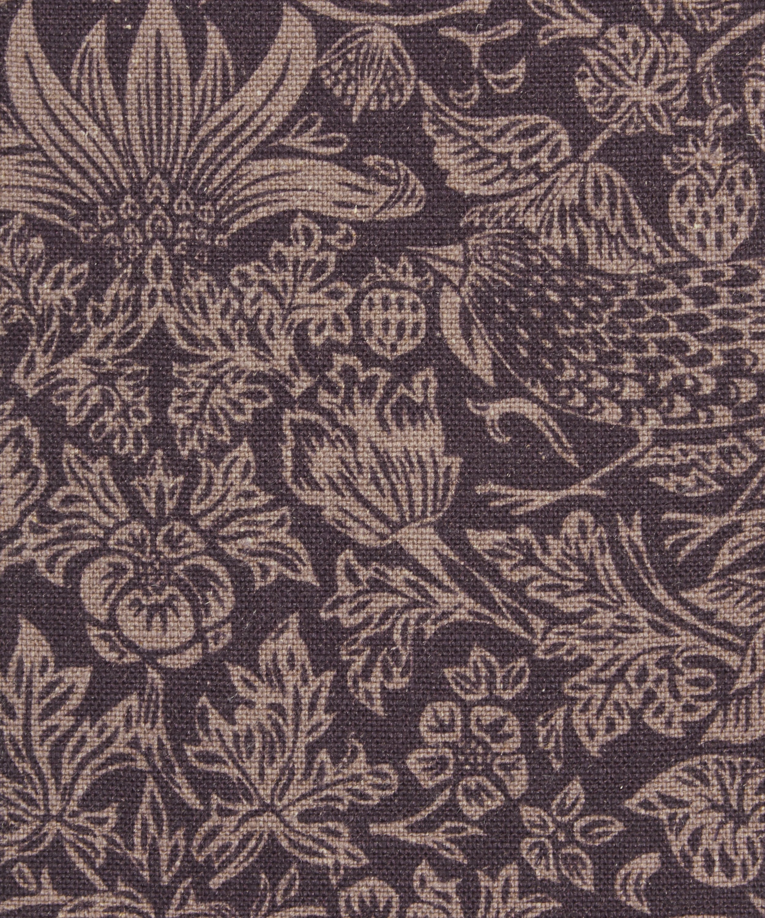 Liberty Interiors - Strawberry Meadowfield Ladbroke Linen in Dragonfly image number 0
