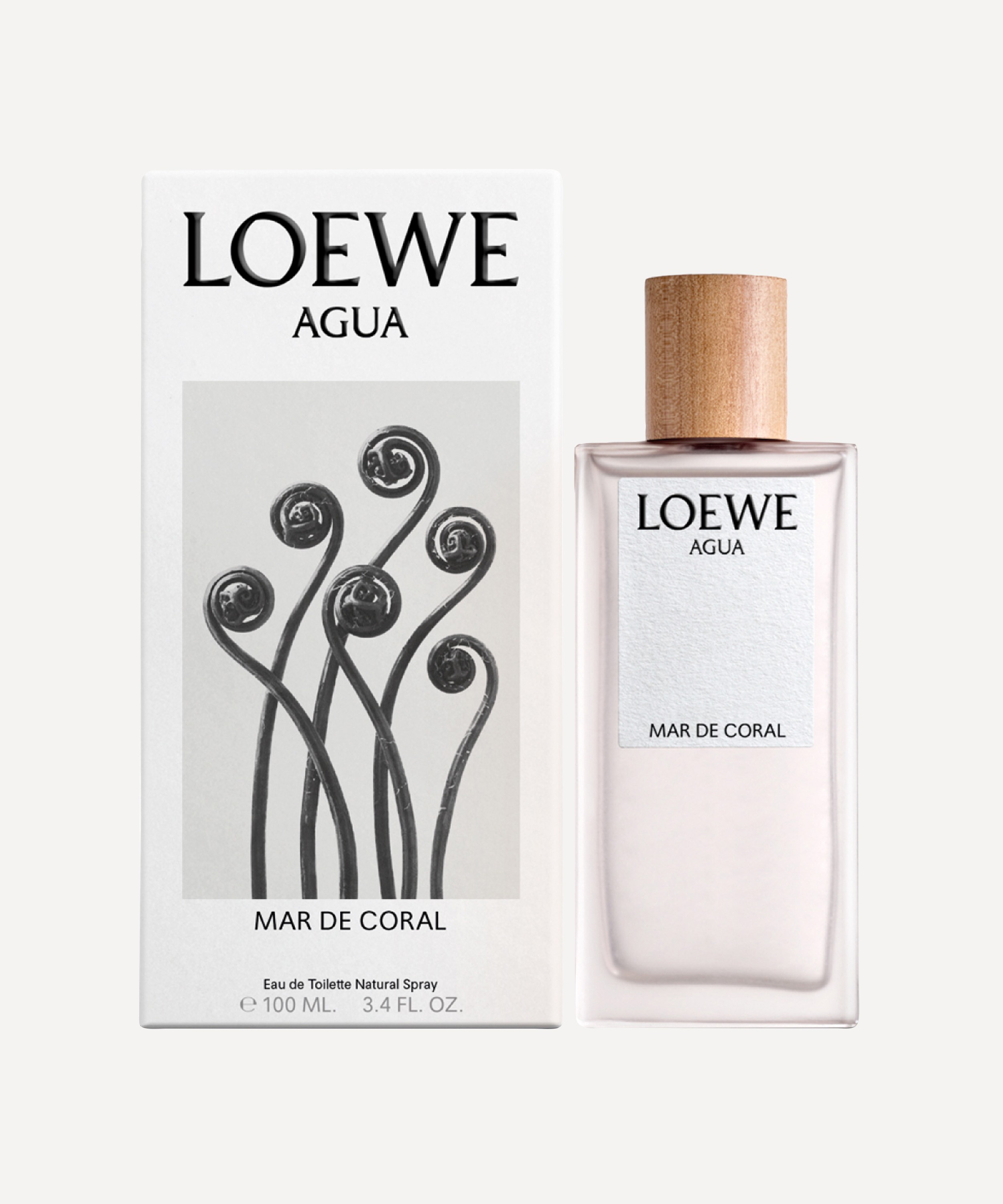  Loewe 001 Woman Eau De Perfume Spray 100Ml : Beauty & Personal  Care
