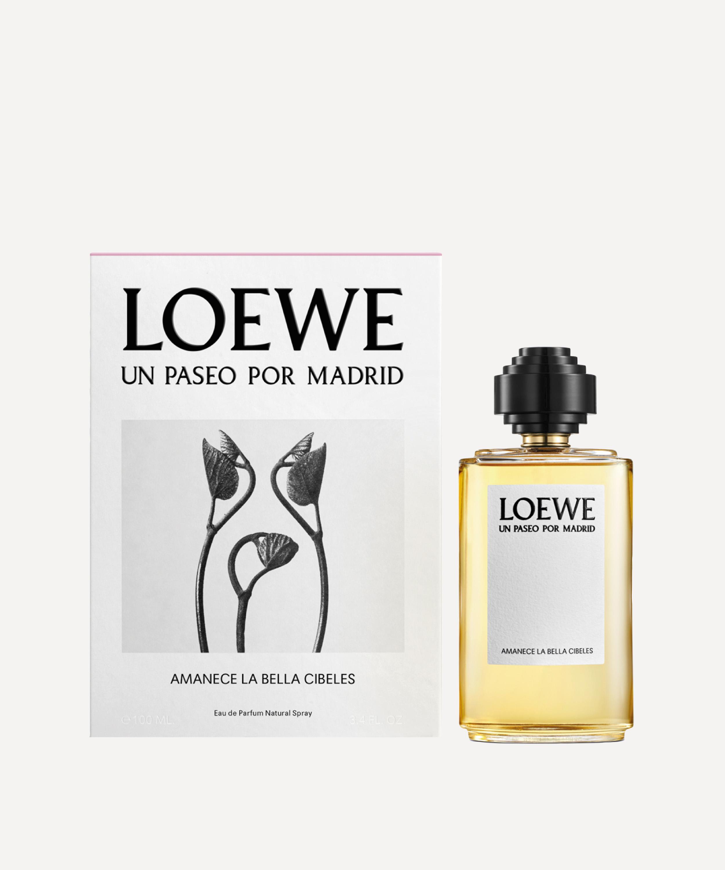 amanece la bella cibeles loewe