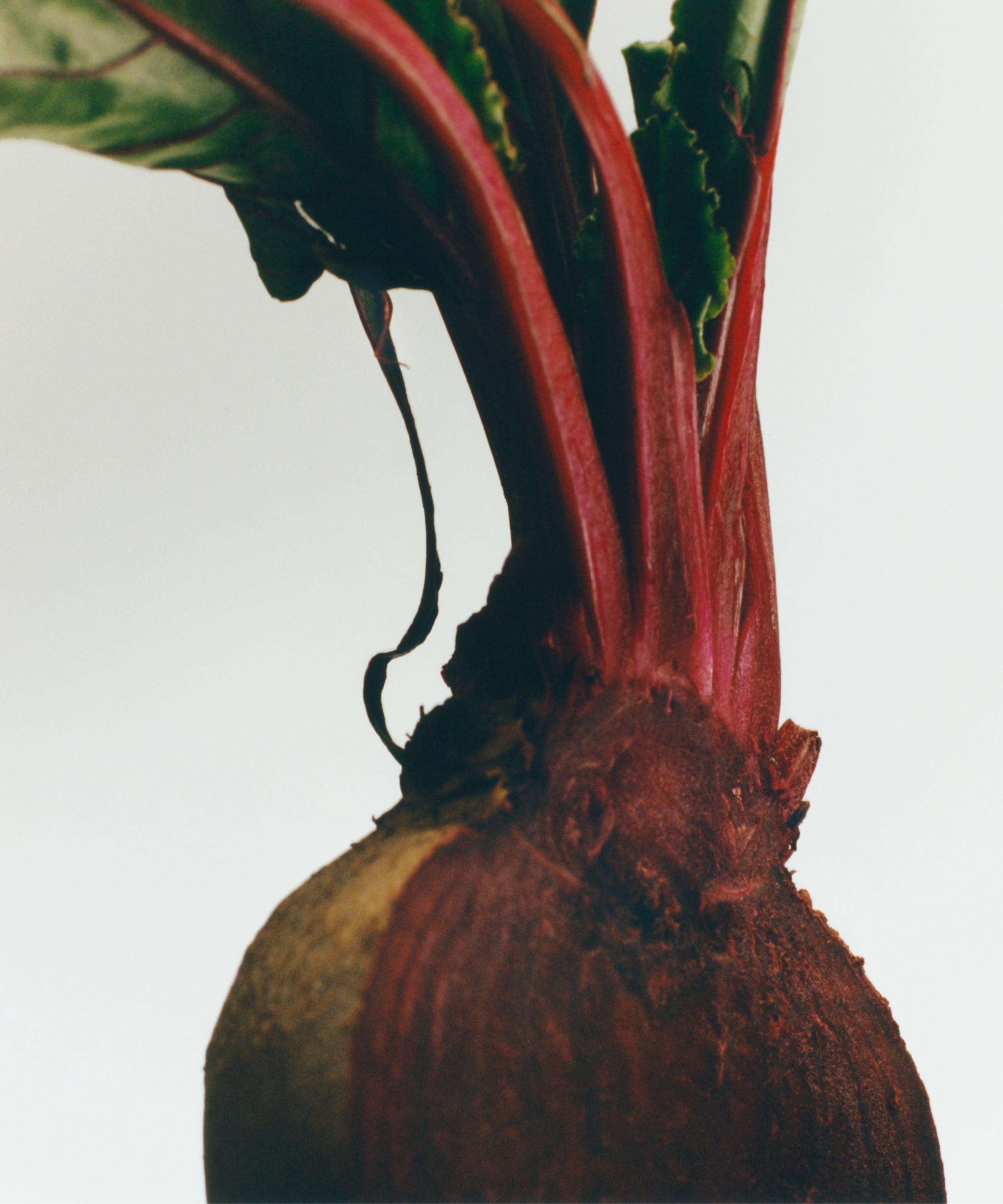 Loewe - Beetroot Home Fragrance 150ml image number 2
