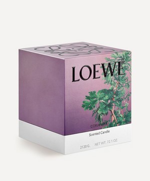 Loewe - Large Coriander Candle 2120g image number 1