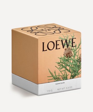 Loewe - Small Cypress Balls Candle 170g image number 1
