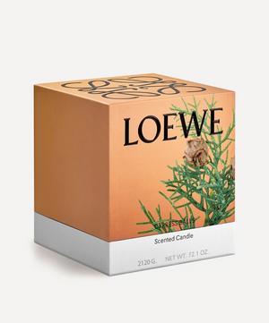 Loewe - Large Cypress Balls Candle 2120g image number 1