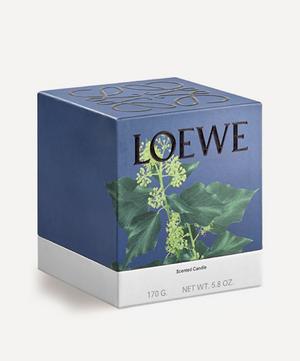 Loewe - Small Ivy Candle 170g image number 1
