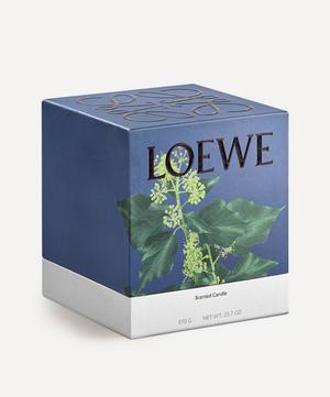 Loewe - Medium Ivy Candle 610g image number 1