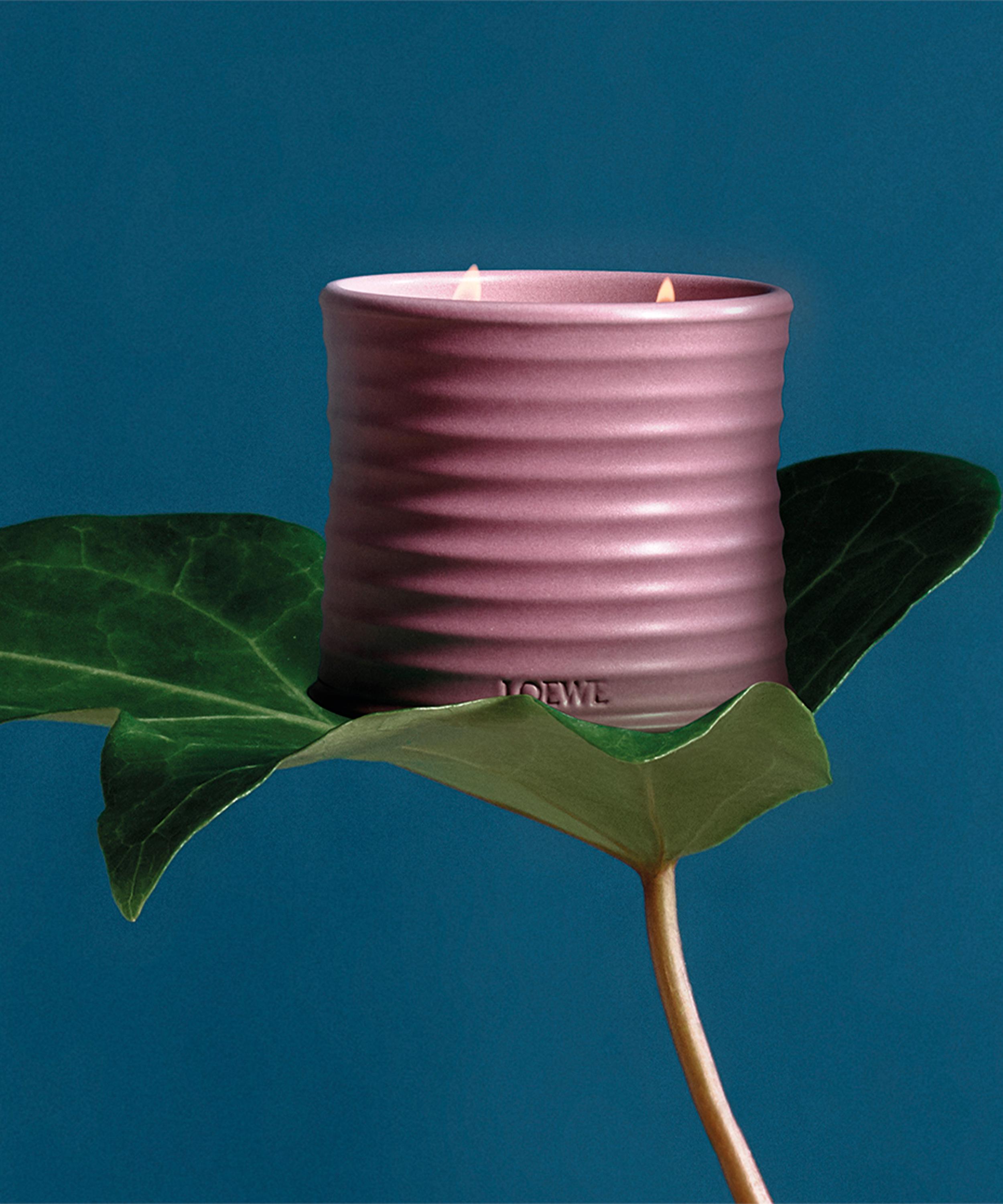 Loewe - Medium Ivy Candle 610g image number 3