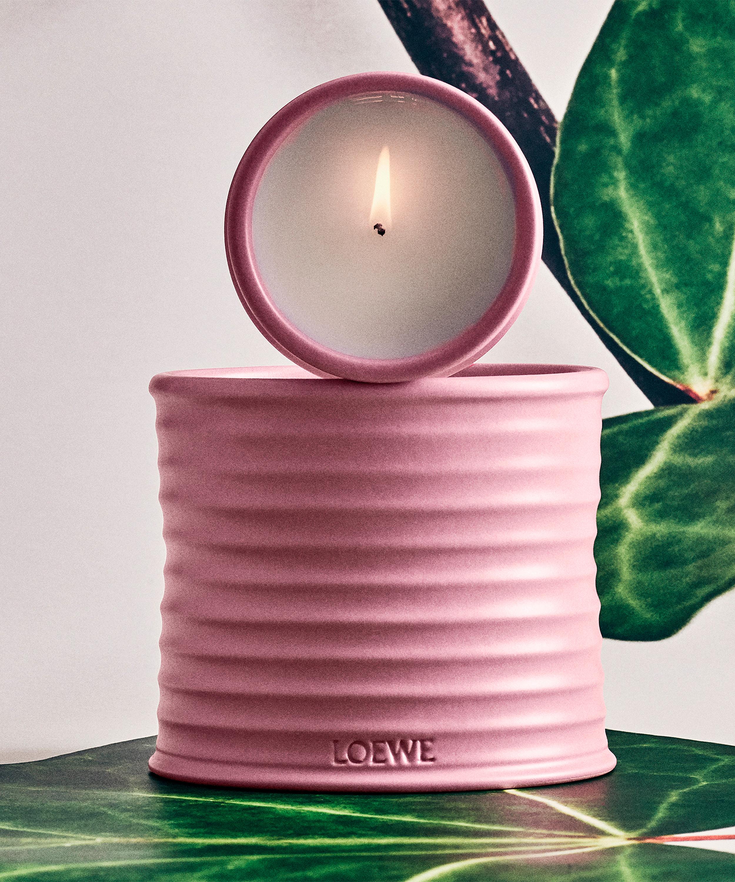 Loewe - Medium Ivy Candle 610g image number 4