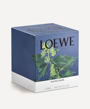 Loewe - Large Ivy Candle 2120g image number 1