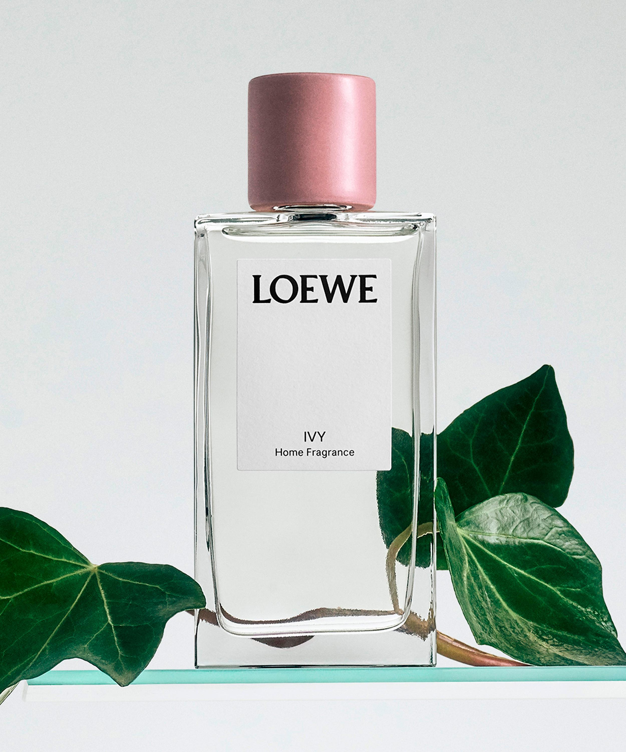Loewe - Ivy Home Fragrance 150ml image number 3