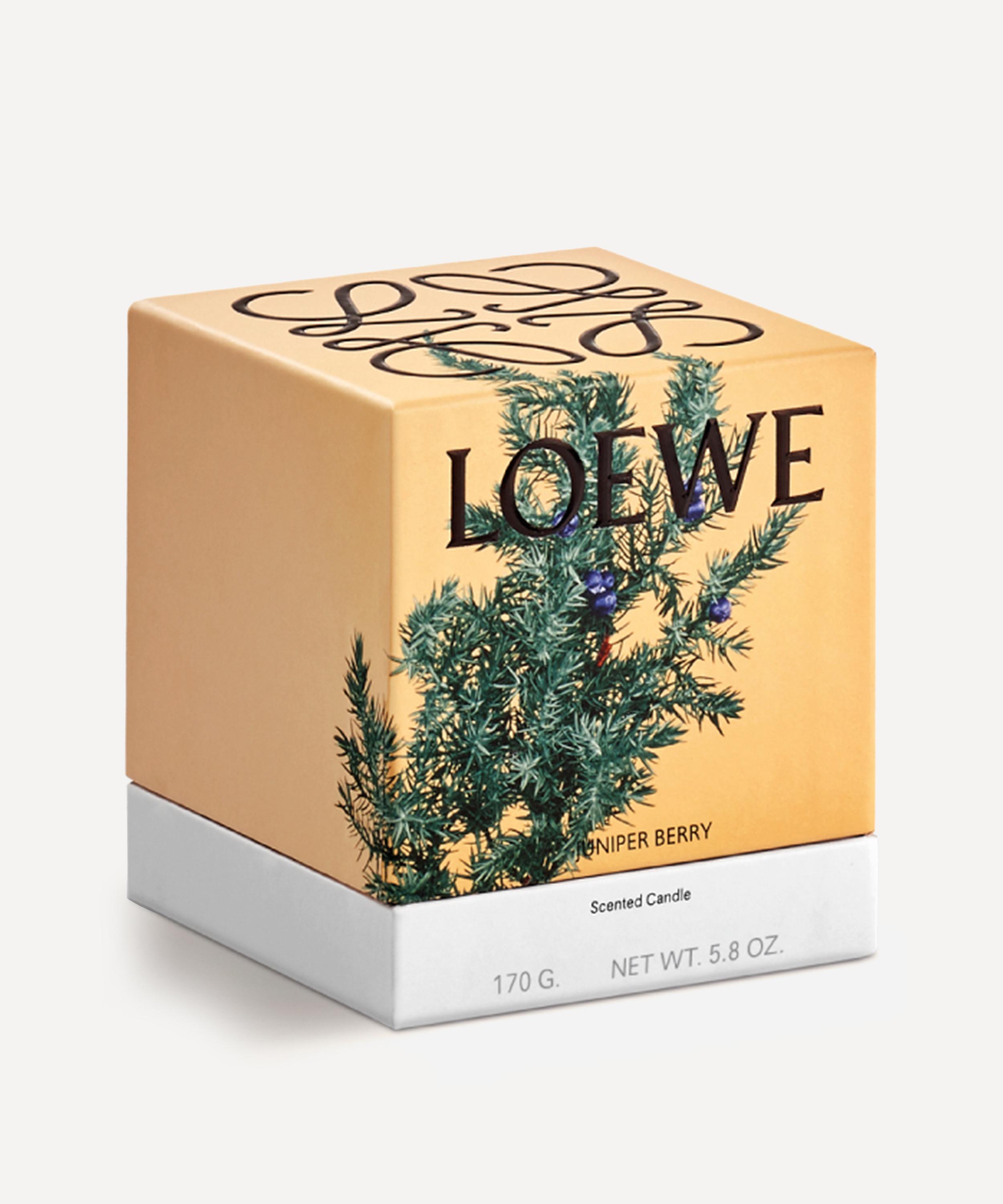 Loewe - Small Juniper Berry Candle 170g image number 1