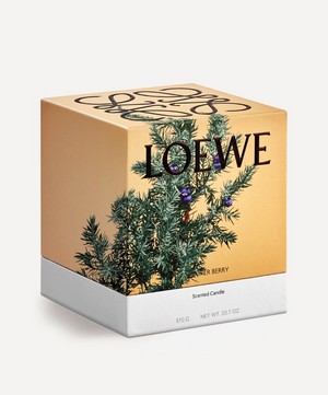 Loewe - Medium Juniper Berry Candle 610g image number 1