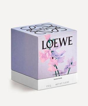 Loewe - Small Luscious Pea Candle 170g image number 1