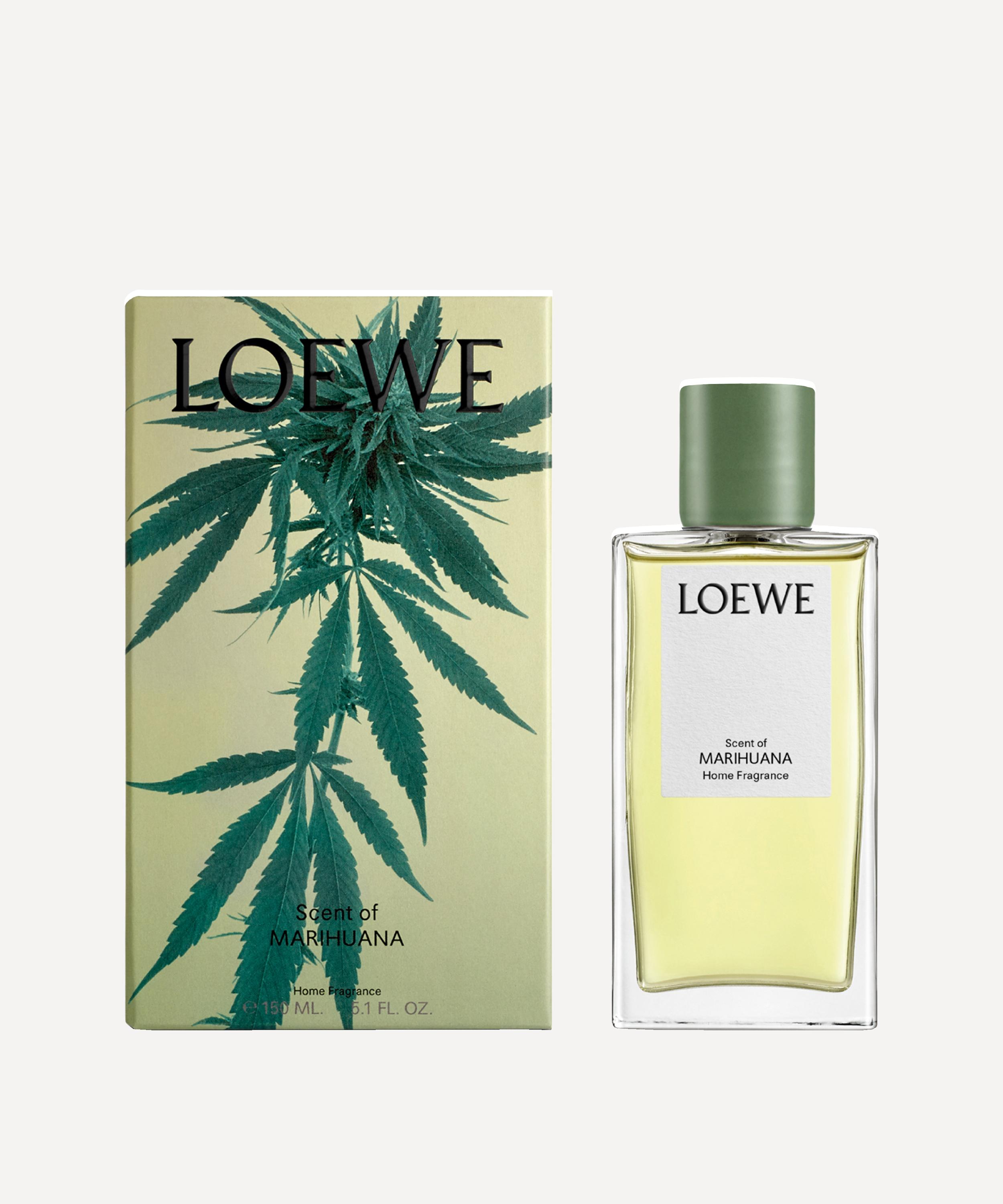 Loewe (Home Fragrance)