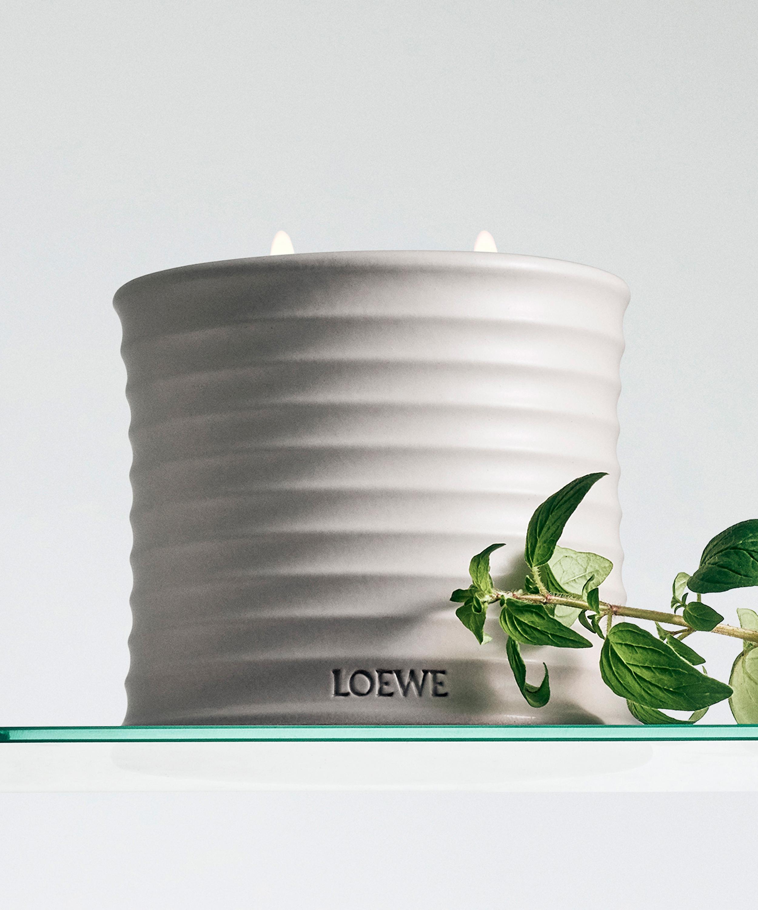 Loewe - Medium Oregano Candle 610g image number 3