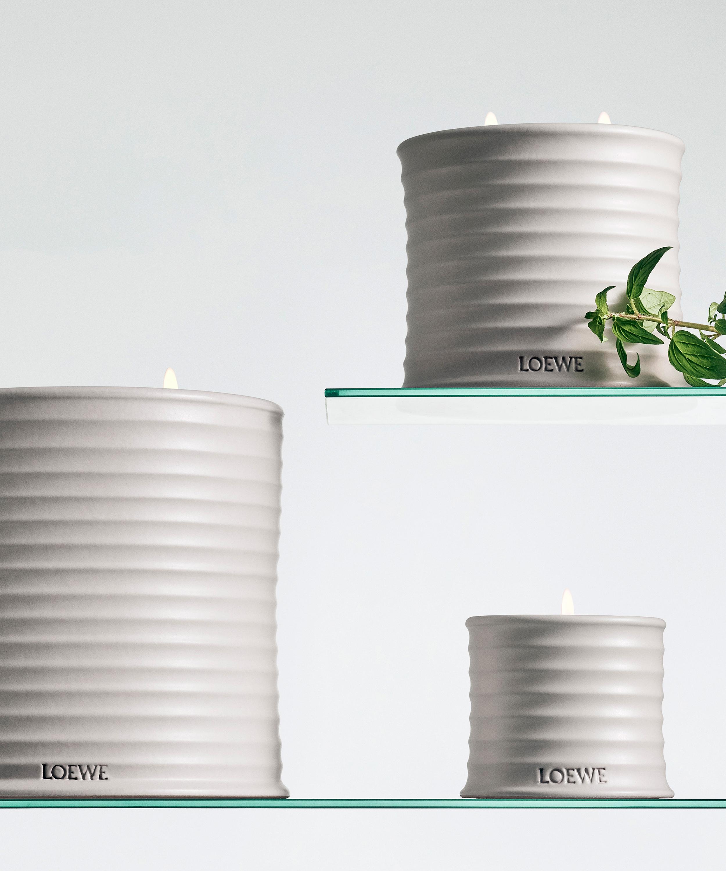 Loewe - Large Oregano Candle 2120g image number 3
