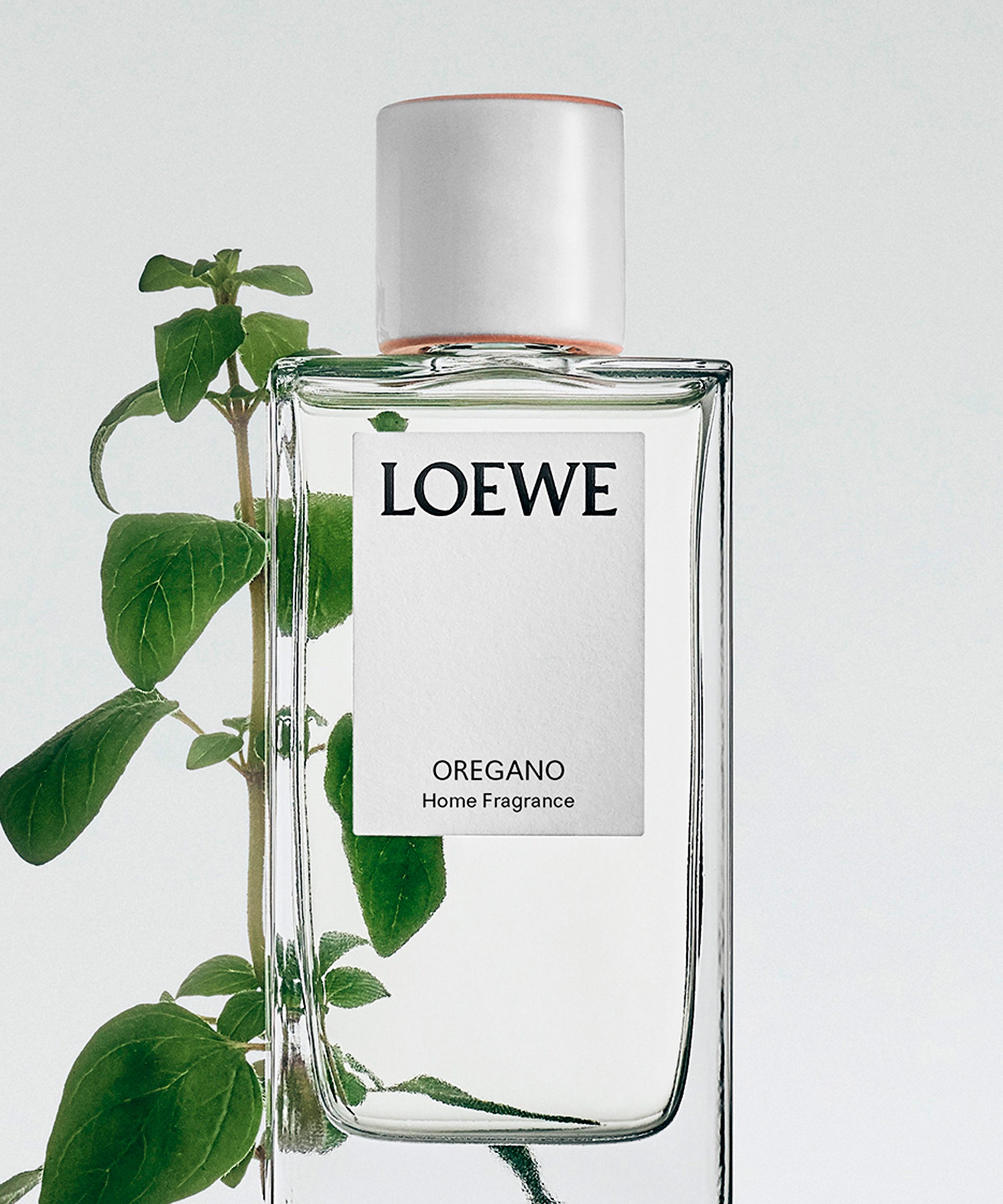 Loewe Oregano Home Fragrance 150ml | Liberty